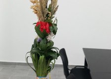 Powiększ zdjęcie 