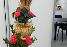 Powiększ zdjęcie 